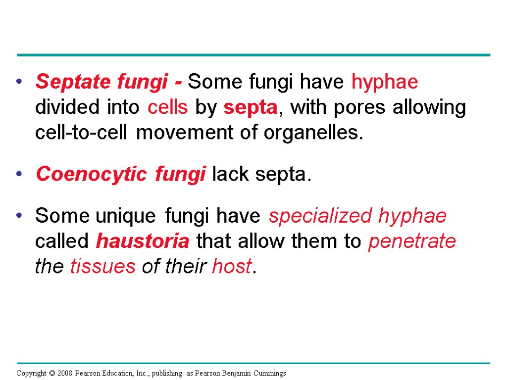 Septate fungi - Some fungi have hyphae divided into cells by septa, with pores